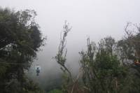 Zipline Hanging Bridges and Nature Exhibits Combo Tour in Monteverde Cloud Forest