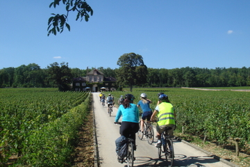 1 day bike and wine guided tour in Burgundy