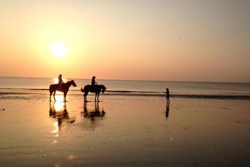 1-Hour Horseback Beach Ride on Jekyll Island