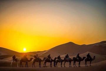 1 night Camel Trek Bivouac From Merzouga