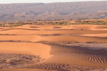 1 Night Excursion in Morocco Desert - Erg Chegaga