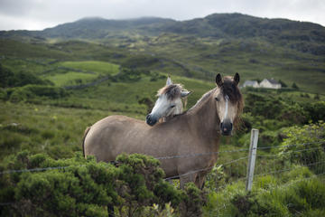 2-Day Connemara and Galway Bay Tour from Dublin by Train