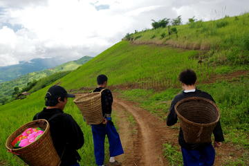 2-Day Hill Tribe Walking Experience