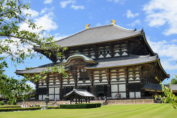 2-Day Kyoto and Nara Rail Tour by Bullet Train from Tokyo