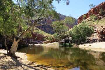 2-Day MacDonnell Ranges Hiking and Camping Tour from Alice Springs