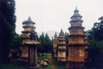 2-Day Private Tour: Shaolin Temple and Mt. Song Hiking from Xi'an to Luoyang by Bullet Train