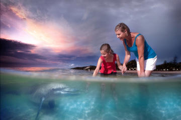 2 Day Tangalooma Resort and Dolphin Feeding Tour