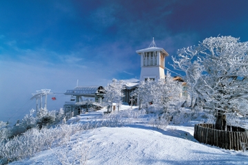 2-Day Yongpyong Ski Resort Tour from Seoul