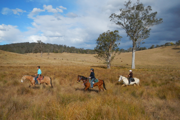 2-Hour Horse Ride in Howes Valley