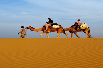 2-Night Jaisalmer Private Tour from Jodhpur including Camel Ride