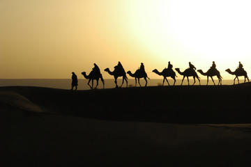 2-Night Private Tour to Merzouga Dunes from Marrakech including Camel Trek and Desert Camp