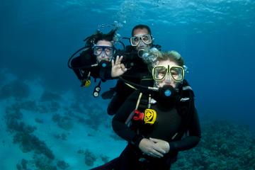 2-Tank Scuba Dive in St Martin