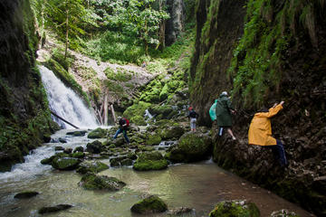 3-Day Apuseni Natural Park Private Tour from Oradea