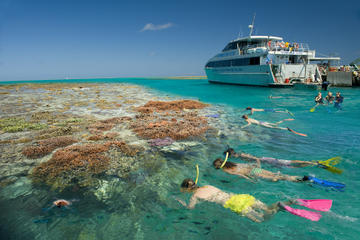 3-Day Great Barrier Reef Tour: Lady Musgrave Island and the Town of 1770