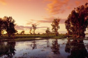 3-Day Kakadu National Park and Arnhem Land Explorer Tour from Darwin