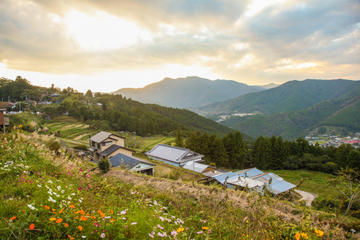 3-Day or 4-Day Self-Guided Hike on Kumano Kodo Pilgrimage Route Including Lodging and Transport