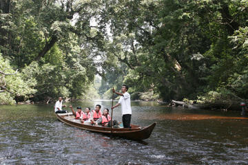 3-Day Taman Negara Adventure from Kuala Lumpur