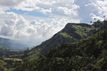 3-Day Tour of Eje Cafetero Coffee Region from Medellín