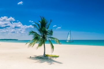 3-Hour Sailing and Snorkeling Adventures at Passekudah Bay