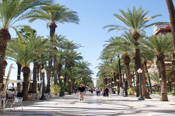 3-Hour Small-Group Walking Tour of Alicante
