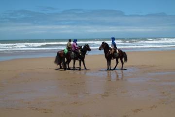 3 hours horse riding at Essaouira