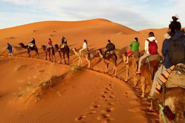 3-Night Marrakech to Fez Sahara Explorer Tour