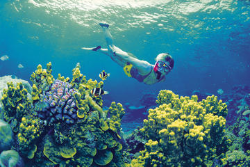 4-Day Cairns and Great Barrier Reef Tour