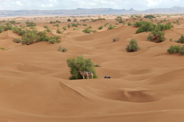 4 Day Desert and Draa Valley Day Trip From Mhamid