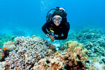 4-Day PADI Open Water Diver Course in Freeport