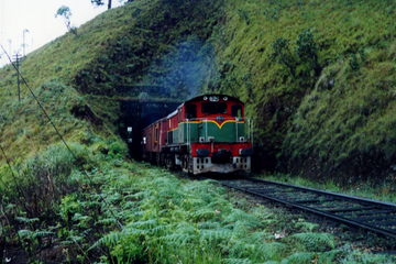 4-Day Rail Tour: Sri Lanka Countryside