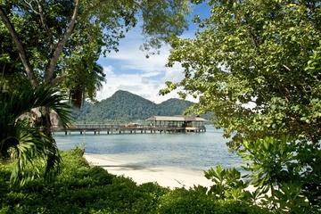4-Day Taman Negara Adventure From Kuala Lumpur