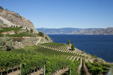 4-Day Tour to Kelowna from Vancouver Including Okanagan Winery Tour