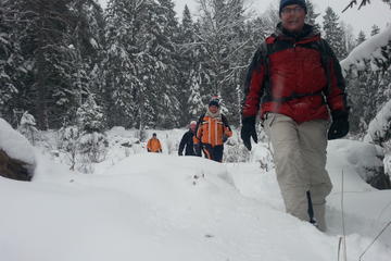4-Day Winter Adventure from Stockholm