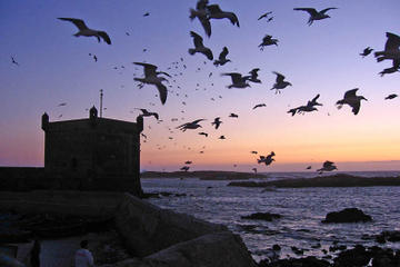 4-Days Essaouira City Break