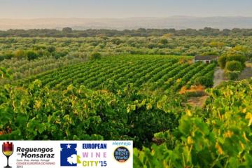 5 Day Alentejo Region Tour from Evora