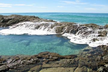 5-Day Fraser Island and Great Barrier Reef Tour