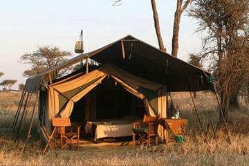 5 Day Private Safari to Tarangire, Serengeti National Park and Ngorongoro Crater from Moshi