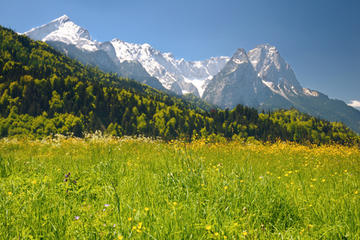 5-Day Trip from Frankfurt to Munich: Rothenburg, Augsburg, Zugspitze