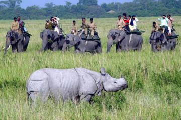 6-Day Tour of Exotic Northeast India: Mawsmai Caves, Double Decker Living Root Bridge and Kaziranga National Park