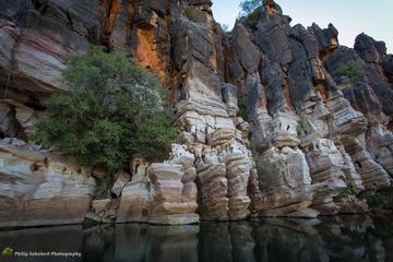 7-Day Darwin to Broome Tour Including Litchfield National Park Nitmiluk National Park and the Bungle Bungle