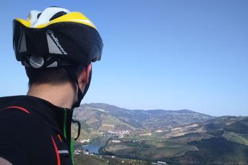7-Day Douro Wine Bike Tour from Porto moderate