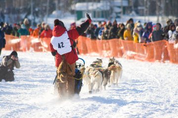 7-Day Winter Alaska Experience: Anchorage and Iditarod Trail Sled Dog Race