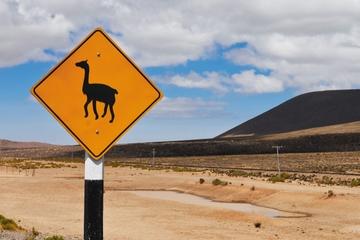 7-Night Tour of Lima and Cusco Including the Inca Trail