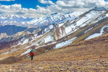 8-Day Trek to Heaven in Himalayas