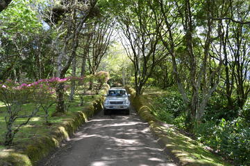 8-Hour Custom Small Group Tour in 4x4 Vehicle
