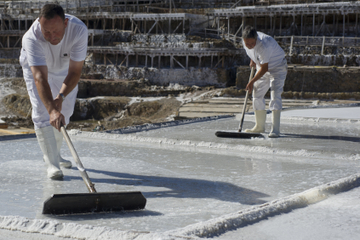 Añana Salt Valley and Cathedral of Santa Maria, Vitoria, Tour from San Sebastian