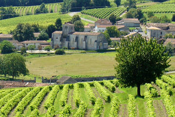 A day visiting traditional distilleries in the Heart of the vineyards of Cognac