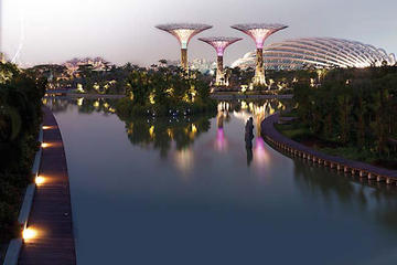 Admission Ticket to Gardens by the Bay in Singapore with Transport