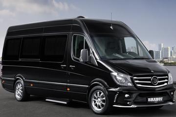Adnan Menderes Airport: Private Arrival Transfer