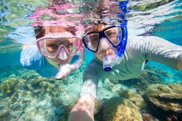Adventure Tour in St Thomas: Kayak, Hike and Snorkel